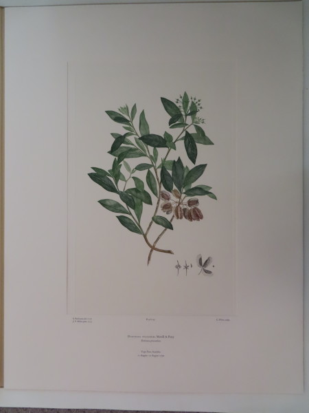 FDA-E.2916_2_26-2016 image FDA-E.2916_2_26-2016