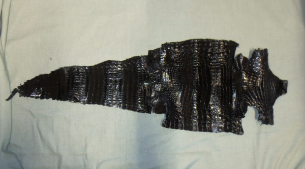 NHM-BA.8-2018 image NHM-BA.8-2018