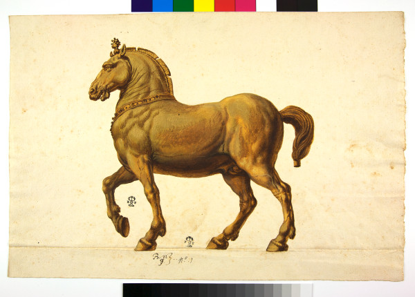 ECL-Bn.9_1-2013 image ECL-Bn.9_1-2013