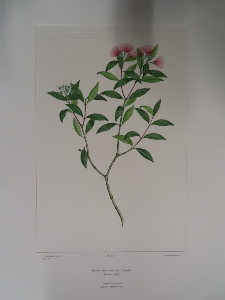 image FDA-E.2916_21_26-2016