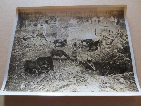 ECL-O.146_31-2014 image ECL-O.146_31-2014