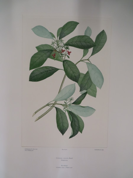 image FDA-E.2916_23_4-2016-A