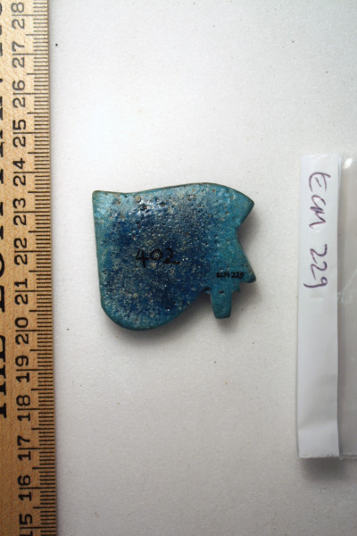 ECM.229-2010-B image ECM.229-2010-B