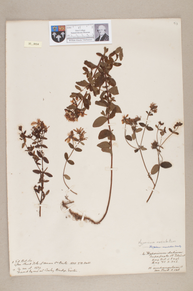 NHM_HH_10.14-2010 image NHM_HH_10.14-2010