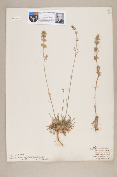 NHM_HH_9.103-2010 image NHM_HH_9.103-2010