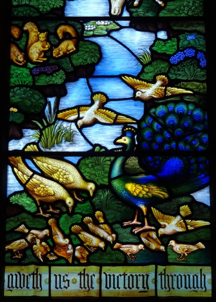 image FDA-A.492_1_1b-2017-C