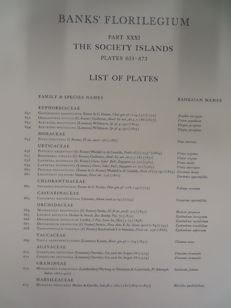 FDA-E.2916_31_3-2016 image FDA-E.2916_31_3-2016