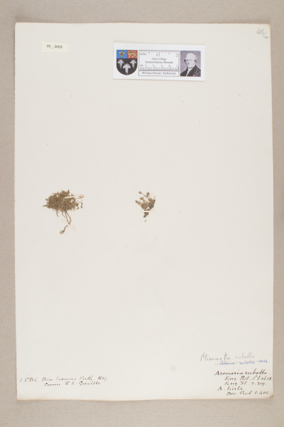 NHM_HH_9.9-2010 image NHM_HH_9.9-2010