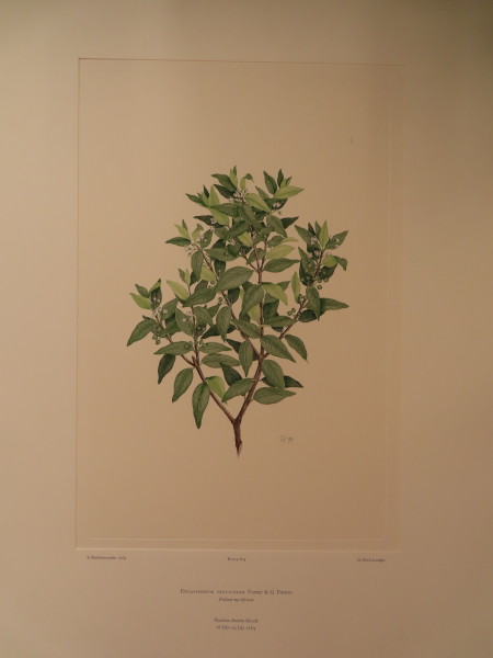 image FDA-E.2916_28_24-2016-A