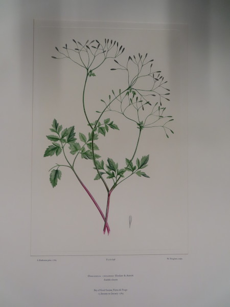 FDA-E.2916_33_7-2016 image FDA-E.2916_33_7-2016