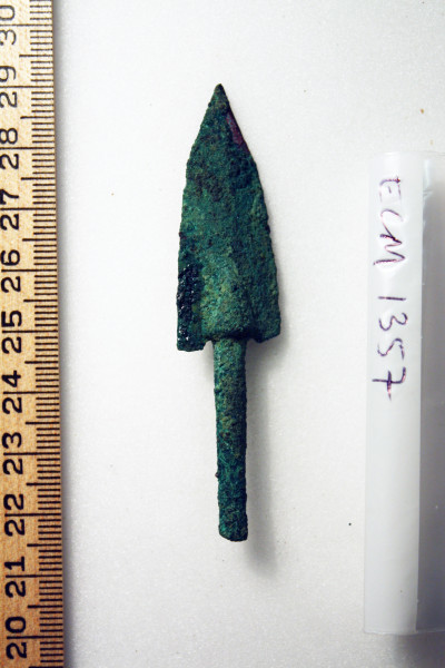 ECM.1357-2010-A image ECM.1357-2010-A