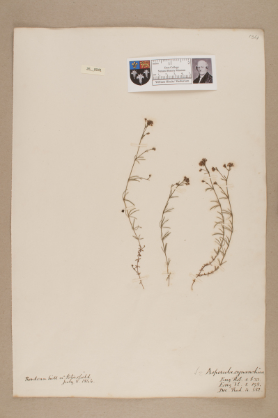 NHM_HH_26.41-2010 image NHM_HH_26.41-2010