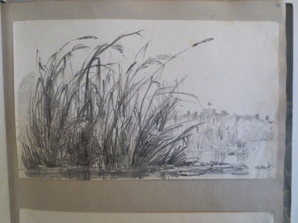 FDA-V.8-2016-AC image FDA-V.8-2016-AC