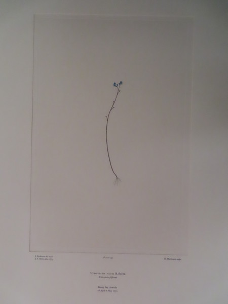 FDA-E.2916_11_17-2016 image FDA-E.2916_11_17-2016