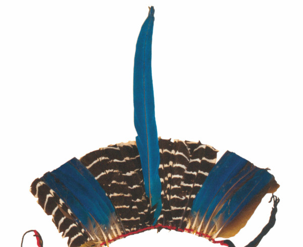 NHM-HT.134-2014 image NHM-HT.134-2014