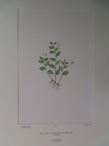 image FDA-E.2916_9_12-2016-A