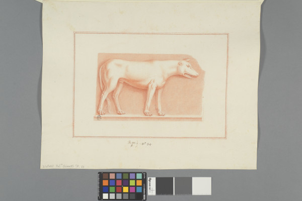 ECL-Bm.5_34-2012 image ECL-Bm.5_34-2012