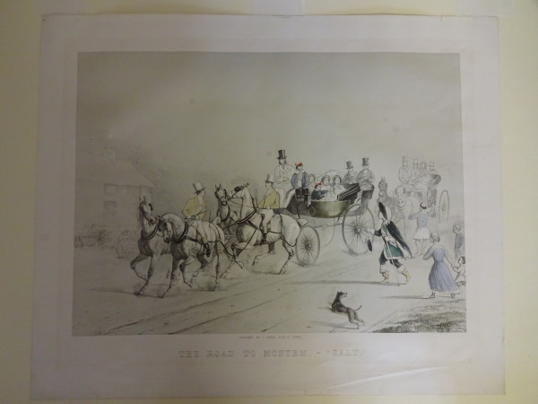 FDA-E.2796-2016 image FDA-E.2796-2016