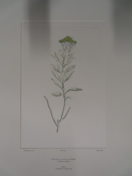 image FDA-E.2916_19_6-2016-A