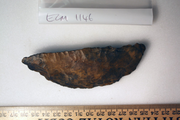 ECM.1146-2010-B image ECM.1146-2010-B