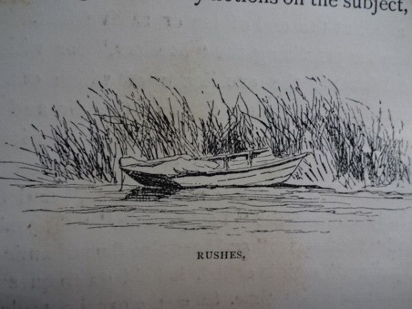 FDA-V.2-2015-S image FDA-V.2-2015-S