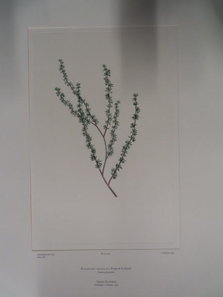 image FDA-E.2916_21_8-2016-A