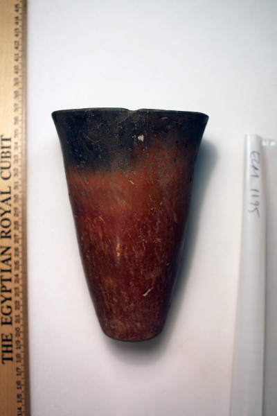 ECM.1195-2010-A image ECM.1195-2010-A