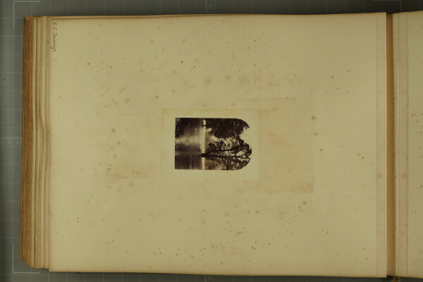 PA-A.80_56-2024 image PA-A.80_56-2024