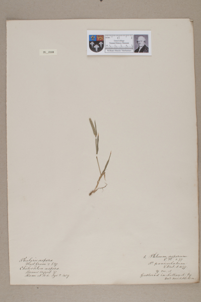 NHM_HH_35.108-2010 image NHM_HH_35.108-2010