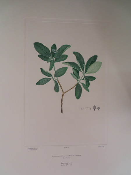 image FDA-E.2916_7_20-2016