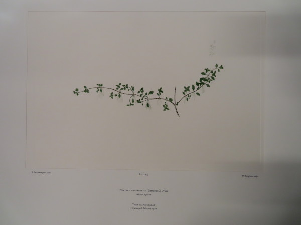 image FDA-E.2916_23_9-2016-A