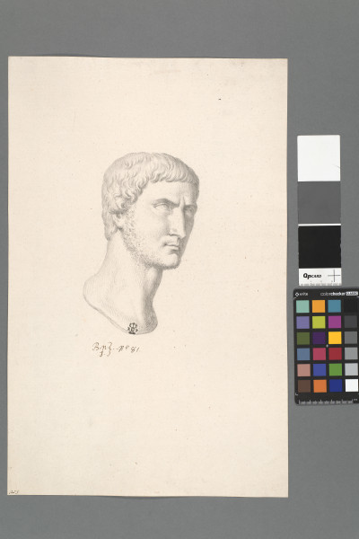 ECL-Bn.1_81-2013 image ECL-Bn.1_81-2013