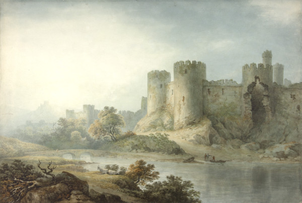 FDA-D.300-2010 image FDA-D.300-2010