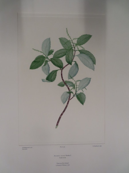 image FDA-E.2916_26_14-2016