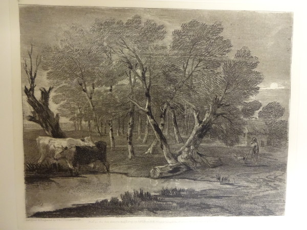 FDA-E.2555_1-2016 image FDA-E.2555_1-2016