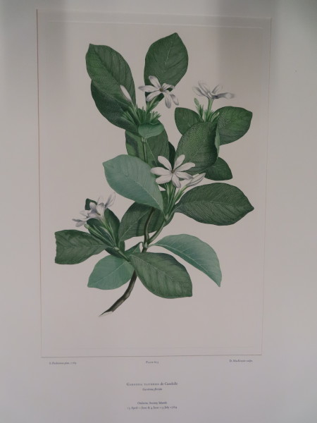 image FDA-E.2916_29_12-2016