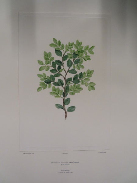 FDA-E.2916_34_14-2016-A image FDA-E.2916_34_14-2016-A