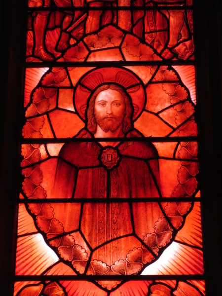 FDA-A.491_1_1b-2017-A image FDA-A.491_1_1b-2017-A