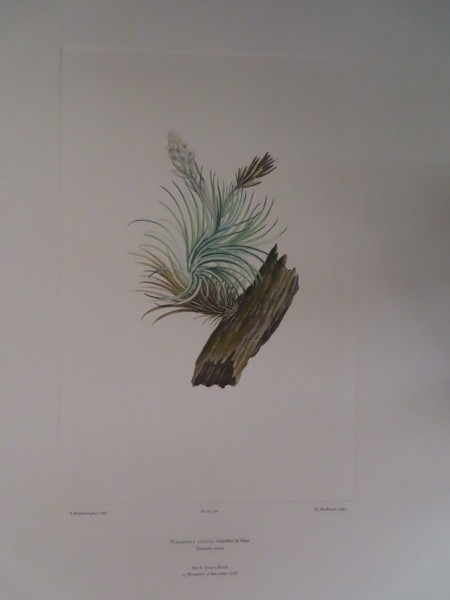 FDA-E.2916_16_26-2016 image FDA-E.2916_16_26-2016