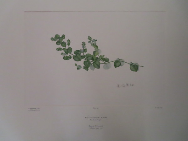 image FDA-E.2916_11_24-2016-A