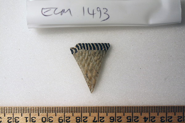 ECM.1493-2010-A image ECM.1493-2010-A