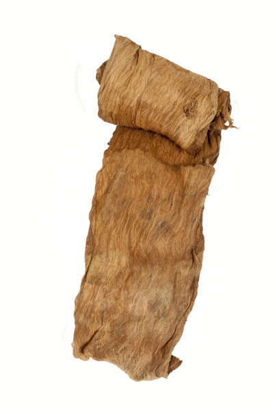 NHM-HT.29-2014 image NHM-HT.29-2014