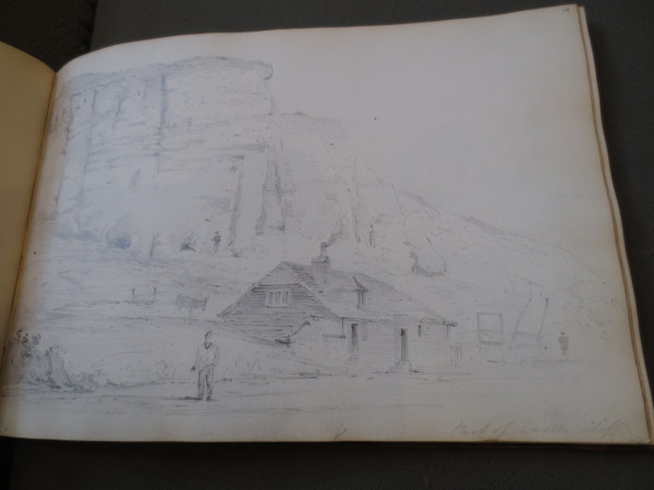 FDA-V.5-2016-S image FDA-V.5-2016-S