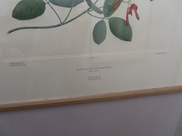 FDA-E.2916_4_10-2016-B image FDA-E.2916_4_10-2016-B