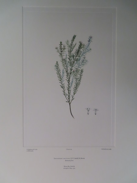 image FDA-E.2916_9_17-2016