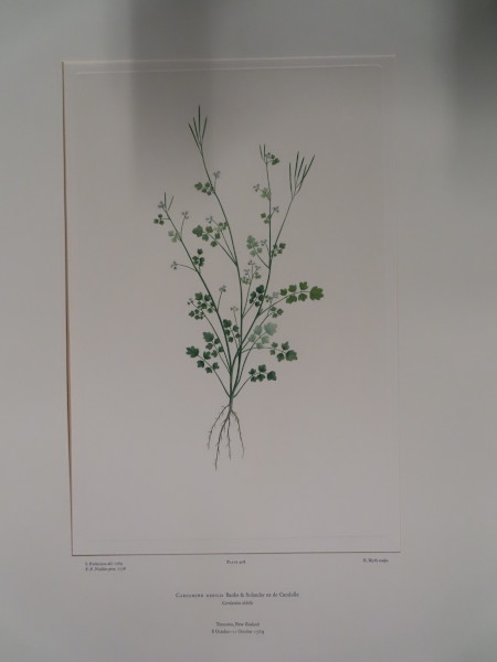 image FDA-E.2916_20_10-2016