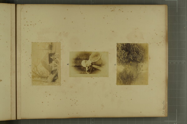 PA-A.80_6-2024 image PA-A.80_6-2024