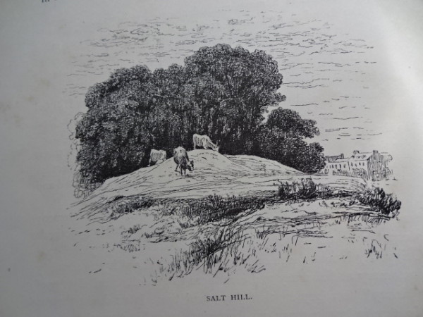 FDA-V.2-2015-ZC image FDA-V.2-2015-ZC