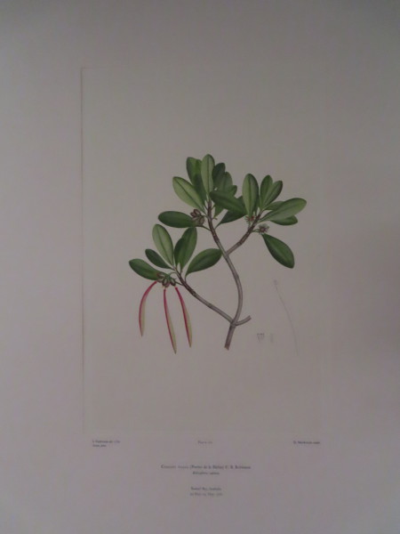 FDA-E.2916_5_15-2016 image FDA-E.2916_5_15-2016