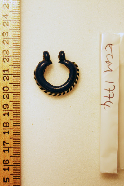 ECM.1774-2010-A image ECM.1774-2010-A